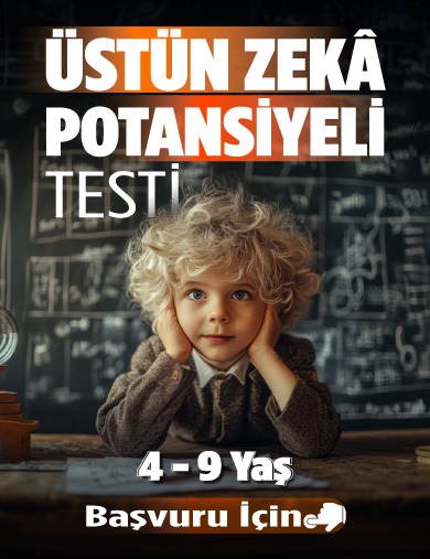 Üstün Zekâ Potansiyeli Başvurusu