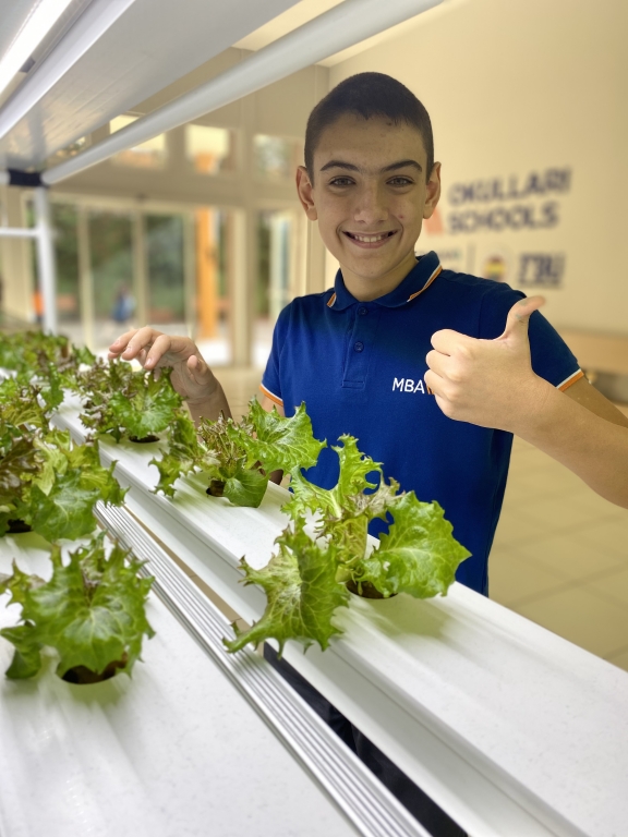 MBA Okullarında Dikey Tarım Uygulamaları Başladı