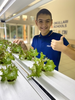 MBA Okullarında Dikey Tarım Uygulamaları Başladı